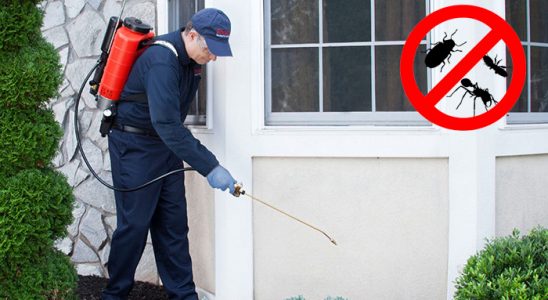 Buca Koop Akrep İlaçlama böcek ilaçlama ve haşere kontrolü — ilaclama-tr.com